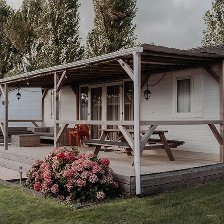 Chalet Tulpenweide - Recreatie Breezand Extérieur photo